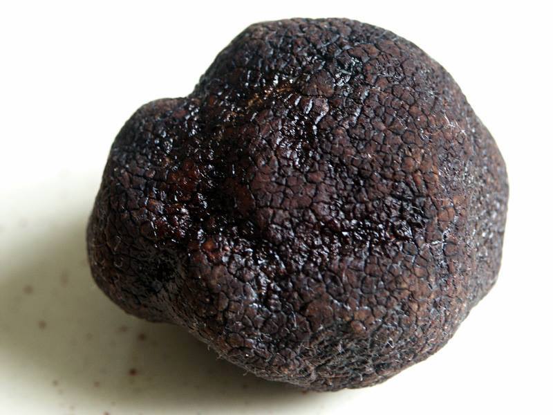 Truffle –  เห็ดที่แพงและหายากมากที่สุดในโลกขุมทรัพย์ความอร่อยใต้ดิน