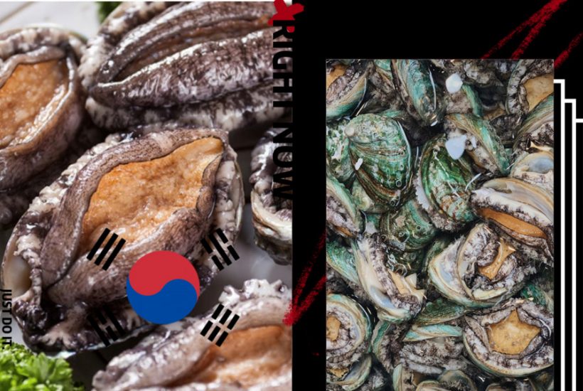 ‘ หอยเป๋าฮื้อ ’ จากเกาหลี ที่อุดมไปด้วยสารอาหาร และรสชาติที่ดีเยี่ยม