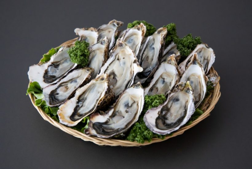 ‘หอยนางรม’ น้ำนมแห่งท้องทะเลที่มีคุณค่าทางโภชนาการเต็มเปี่ยม