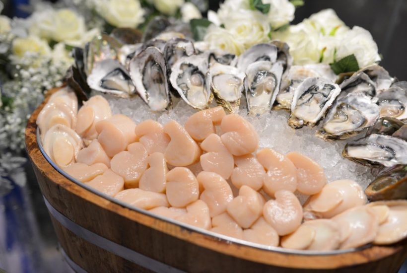 ‘หอยจอบ’ ยาคลายความเหนื่อยล้าแห่งท้องทะเล​ ที่อุดมไปด้วยสารอาหาร