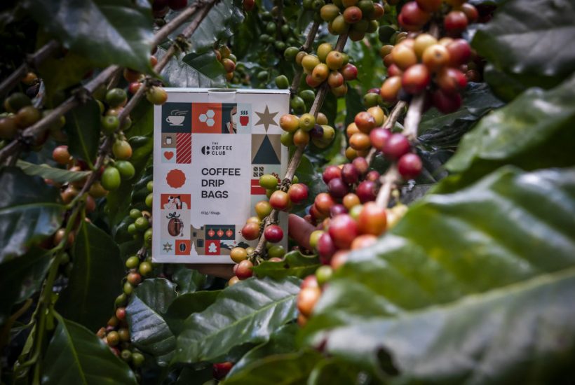 ดื่มด่ำ Specialty Coffee จากแหล่งปลูกกาแฟดีของไทย รังสรรค์เป็น ‘Festive Series Coffee Drip Bags’ By THE COFFEE CLUB